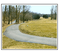 Road into woods by golf course